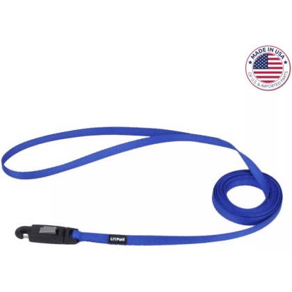 Coastal Pet Lil Pals Dog Leash with E-Z Snap Blue